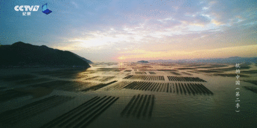 航拍中国高清在线观看,空中视角下的壮丽画卷  第3张